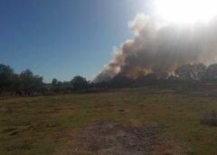 Crisis ambiental / Vecinos del Hipódromo exigen soluciones urgentes