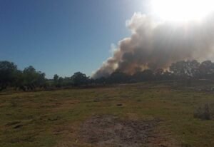 Crisis ambiental / Vecinos del Hipódromo exigen soluciones urgentes