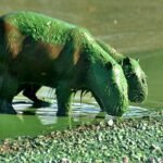 Impactantes imágenes del punto al que ha llegado la floración algal en el embalse de la represa Salto Grande