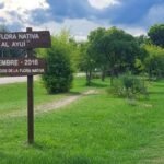 El Futuro de la Doble Vía en Termas del Daymán / ¿Un Riesgo para el Parque Flora Nativa?