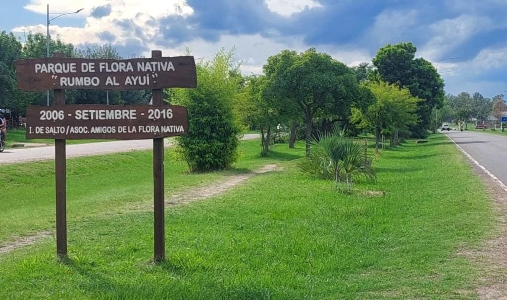 El Futuro de la Doble Vía en Termas del Daymán / ¿Un Riesgo para el Parque Flora Nativa?