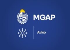 MGAP informa que el viernes 16 de mayo, los servicios web y la atención al público estarán restringidos