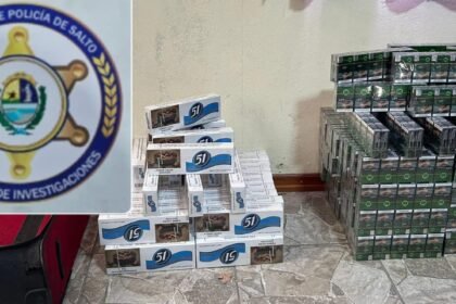 Incautación de Cigarrillos de Contrabando en las Cercanías de Daymán