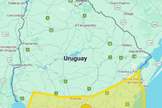 Precaución en el Sur: Rige Advertencia Amarilla por Vientos Intensos