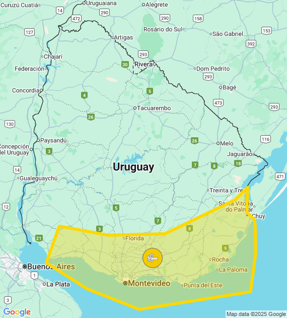 Precaución en el Sur: Rige Advertencia Amarilla por Vientos Intensos