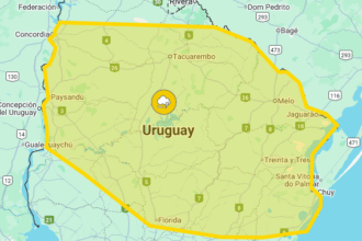 Alerta amarilla en Salto: por ahora la Expo Salto 2025 se desarrolla con normalidad Alerta amarilla en Salto: por ahora la Expo Salto 2025 se desarrolla con normalidad