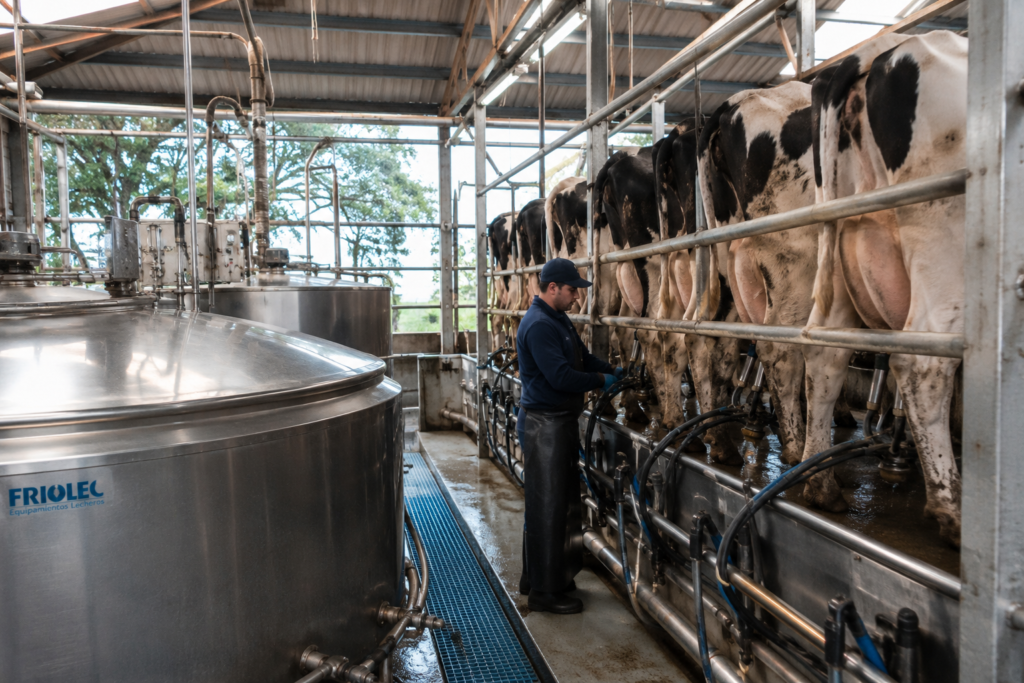 Exportaciones l&aacute;cteas uruguayas cayeron 4% en abril y preocupa la baja en quesos y leche descremada