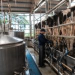 Exportaciones l&aacute;cteas uruguayas cayeron 4% en abril y preocupa la baja en quesos y leche descremada
