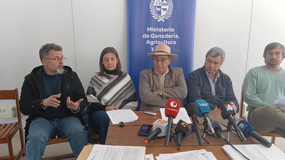 Frigorífico Tacuarembó: “La situación es difícil, pero vemos luz en el horizonte”
